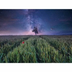 Puzzle camp si stele 1500 piese